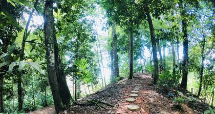 Mango EcoLodge - Where the Caribbean Sea meets the tropical rainforest!