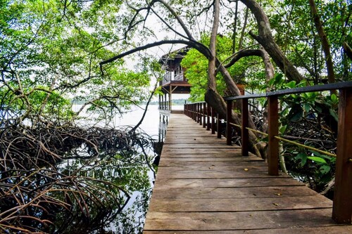 Mango EcoLodge - Where the Caribbean Sea meets the tropical rainforest!