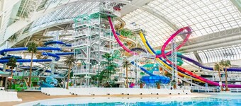 NEW - Euro-Style Suite - Whyte Ave/Clean/A/C/NFLX/Sleeps6
