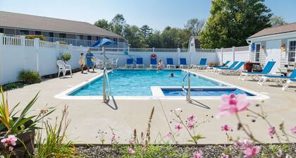 Superior King Room - 1 King Bed