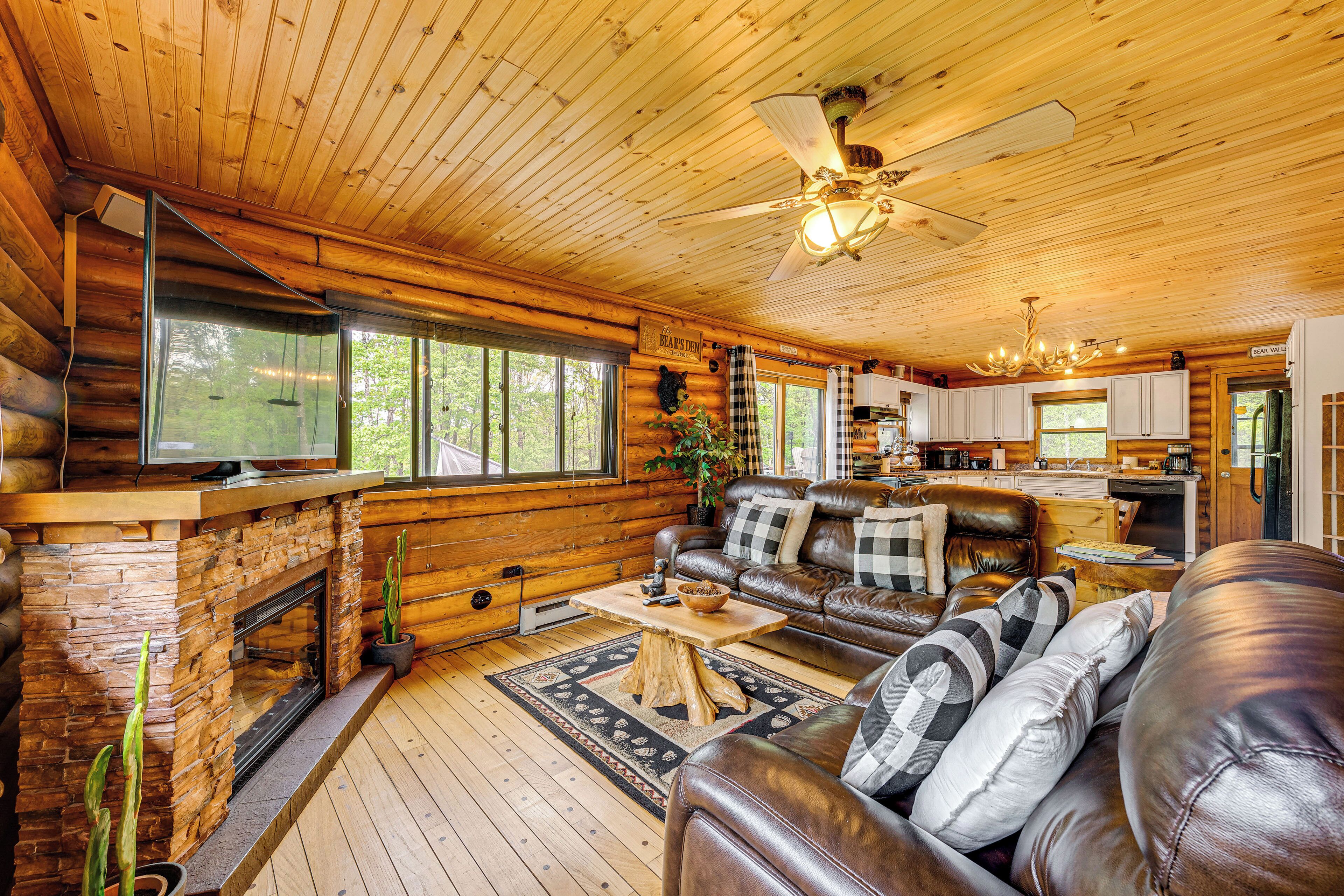 TV, fireplace, DVD player, books