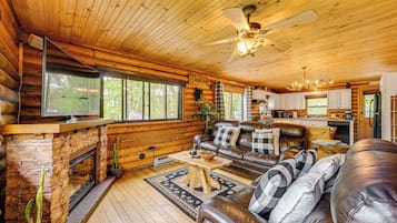 TV, fireplace, DVD player, books