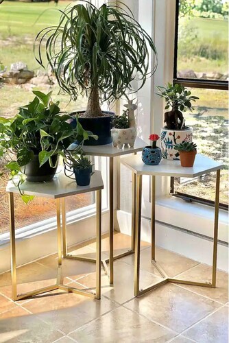 A Dream on the Green is here for you to enjoy all Pinehurst has to offer.