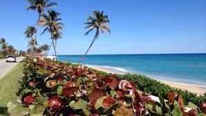 Praia com palmeiras, uma estrada e um céu azul límpido.
