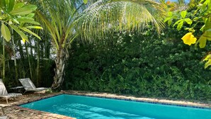 Uma piscina retangular com água azul cristalina, rodeada por vegetação exuberante e uma borda revestida de azulejos.