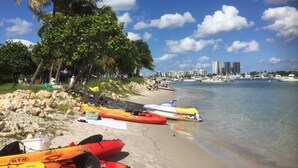 Une plage où l’on aperçoit des kayaks alignés sur le sable, des palmiers et, au loin, la silhouette d’une ville.
