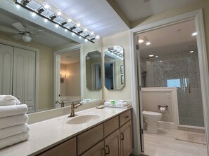 Shower, hair dryer, towels