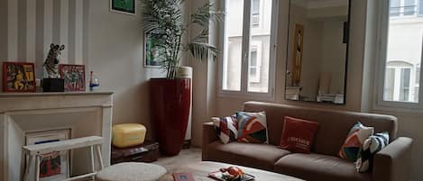 电视、DVD 播放器、书