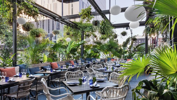 Un restaurante con mesas y sillas en el interior, plantas colgantes y vistas de la ciudad.