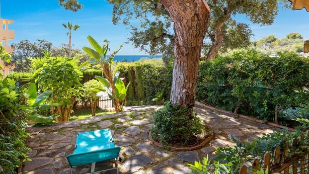Un patio jardín con un sendero de piedra, una silla azul y un árbol grande.