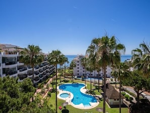 Relax by the resort's expansive pool surrounded by lush greenery and palm trees, with the ocean just beyond.