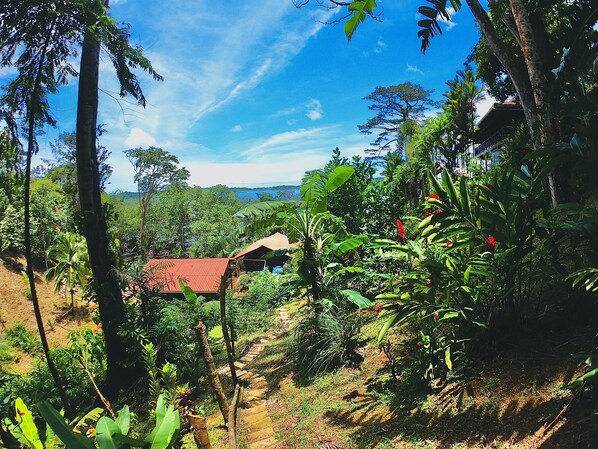 Overnattingsstedets uteområder