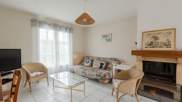 Télévision, cheminée, lecteur de DVD, livres