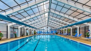 Una piscina interior con techos de vidrio transparente, sillas reclinables azules y plantas en macetas.