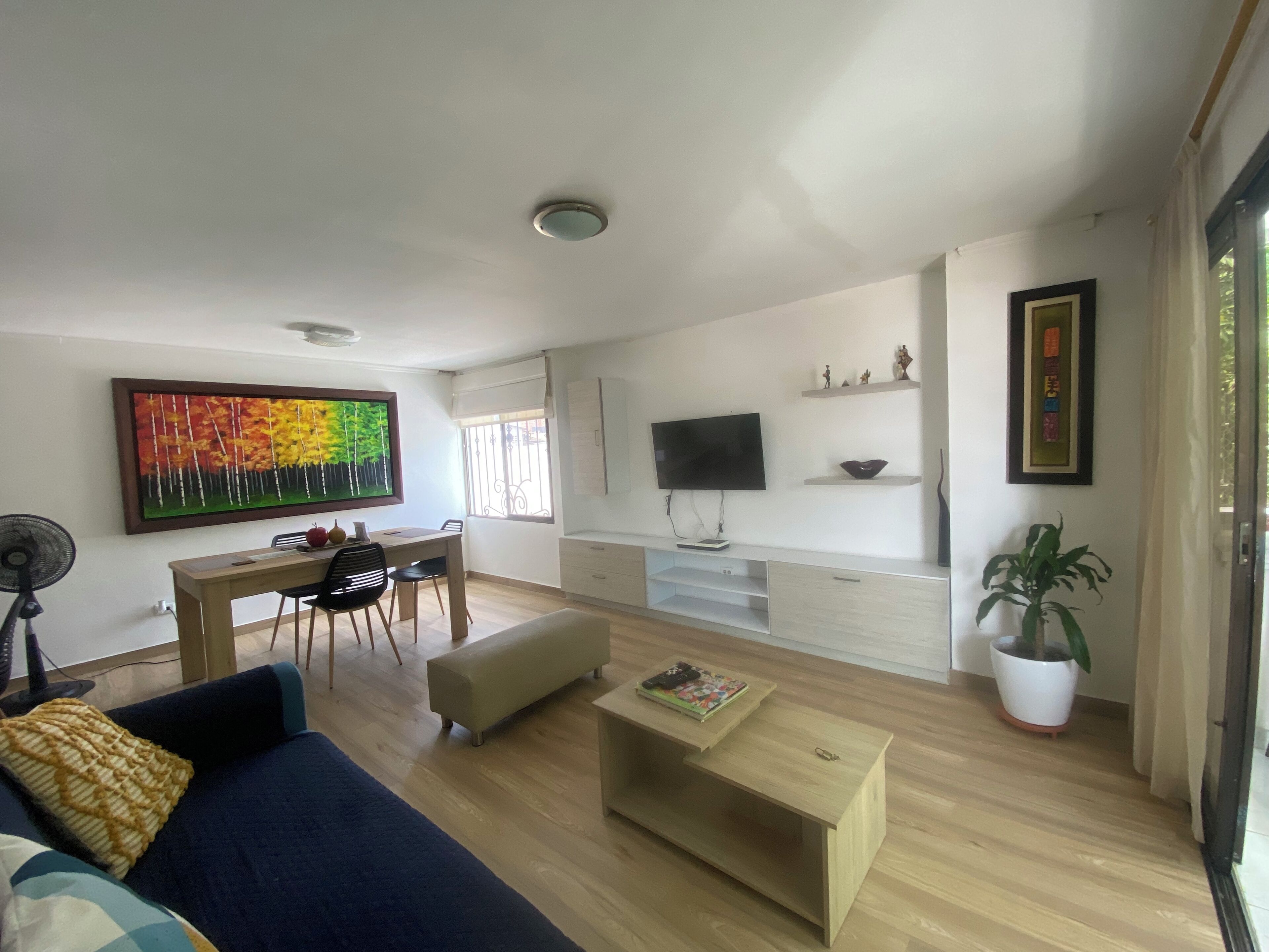 Smart TV