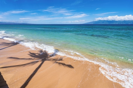 On the beach. Papakea D206 - Ocean and pool views