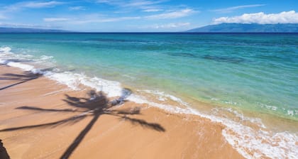 Papakea D206 - Ocean and pool views