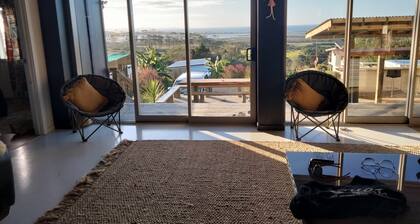 Great Exhibition Bay Bach