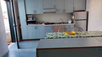 Fridge, microwave, stovetop, cookware/dishes/utensils