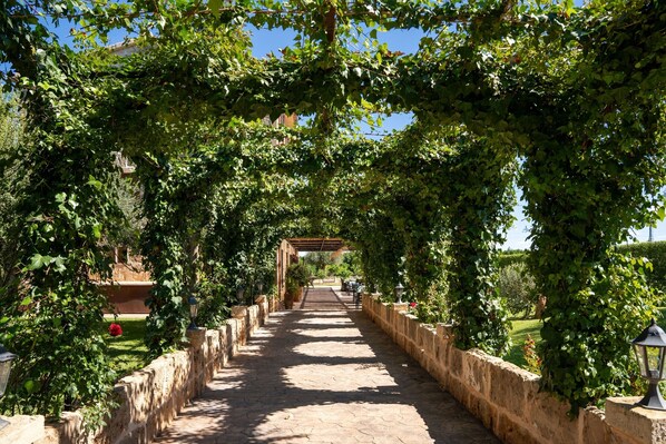 Un sentier bordé de murs de pierre et surmonté d’une arche couverte de vigne.