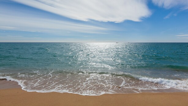 A beach with waves, a clear sky, and a distant boat.