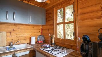 Fridge, microwave, stovetop, coffee/tea maker