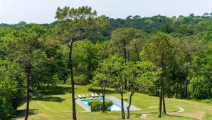 Piscina rodeada por árvores, com área gramada e uma colina ao fundo.