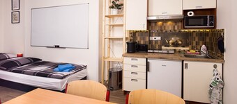 School Apartment by metro stop Vyšehrad