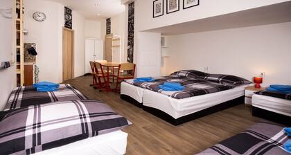 School Apartment by metro stop Vyšehrad