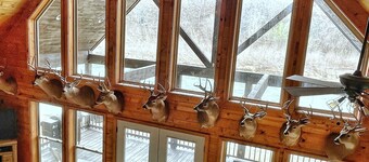 Newly Remodeled! 3-Bedroom Cabin on The Banks of The Current River in Doniphan