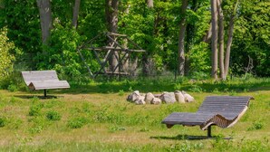 A grassy field with two wooden benches, a metal fence, and a wooden structure in the background.