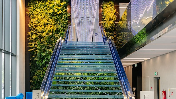 Ein modernes Interieur mit einer Glasstufenkonstruktion, Grünpflanzen und blauen Stühlen.