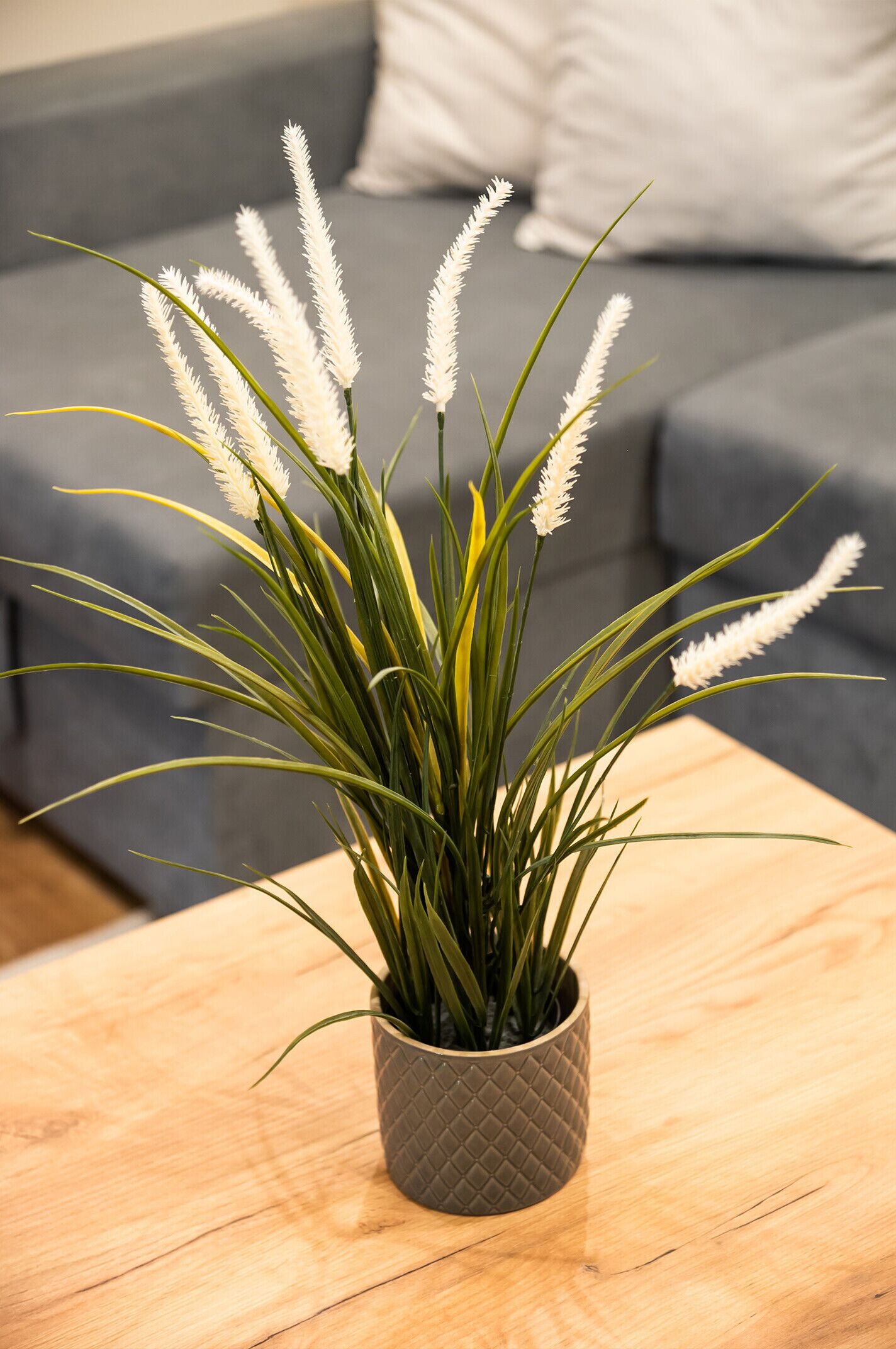Een bloeiende plant in een pot op een houten tafel in een kamer met een grijze bank.