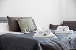 1 bedroom, iron/ironing board, WiFi, bed sheets - City Centre Apartment (Warszawa)