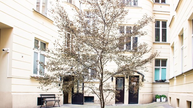 Un patio con un árbol, un banco y edificios con ventanas y puertas.