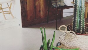 Una stanza con una porta in legno, una sedia con un cuscino decorato e un cactus in un vaso verde.