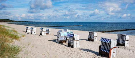 A beach with rows of beach chairs and umbrellas, a sandy shore, and the ocean in the background.