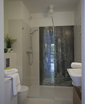 Shower, hair dryer, towels