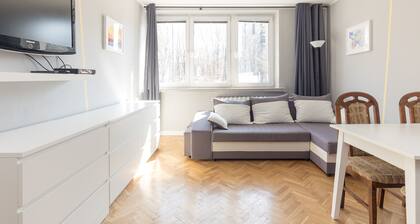 Wola Anielewicza City Comfort Apartment