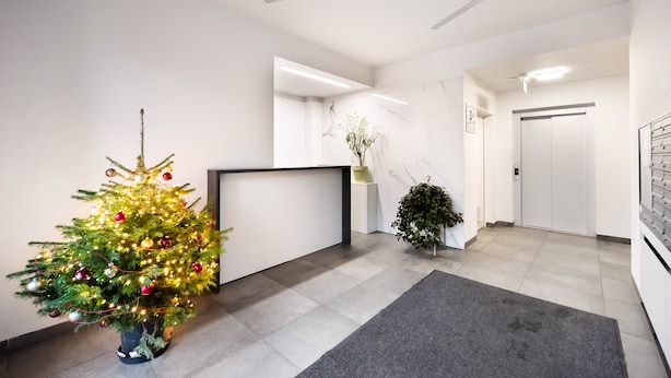 Een moderne receptie met een kerstboom, een receptiebalie en een kamerplant.