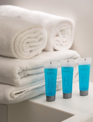 Douche, sèche-cheveux, serviettes fournies