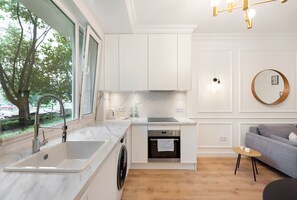 Fridge, oven, stovetop, dishwasher