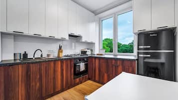 Fridge, oven, stovetop, dishwasher