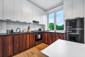 Fridge, oven, stovetop, dishwasher