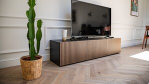 A modern living room with a flat-screen TV on a wooden console, a cactus in a woven basket, and a framed picture on the wall.