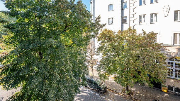 Un edificio con varias ventanas y un árbol en primer plano.