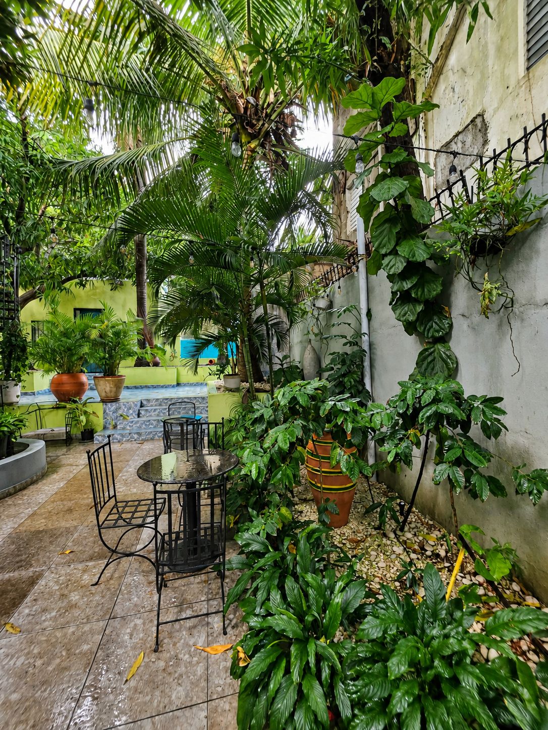 Un patio al aire libre con una mesa redonda y sillas, rodeado de exuberante follaje y plantas en macetas.