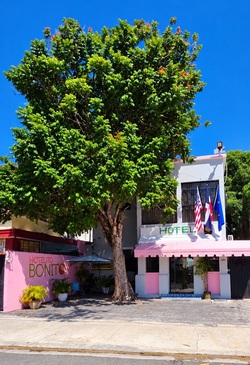 Un hôtel avec un grand arbre devant, un auvent rose et des drapeaux.