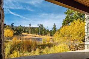 Property grounds - JuniperSprings #251 True Ski-In-Ski-Out 2Bed/2Bath Luxury Resort in Eagle Lodge (Mammoth Lakes)