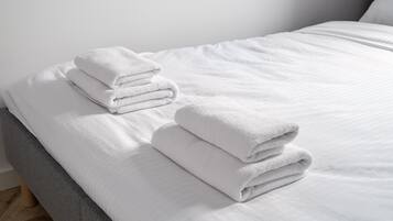 1 camera, ferro/asse da stiro, Wi-Fi, lenzuola